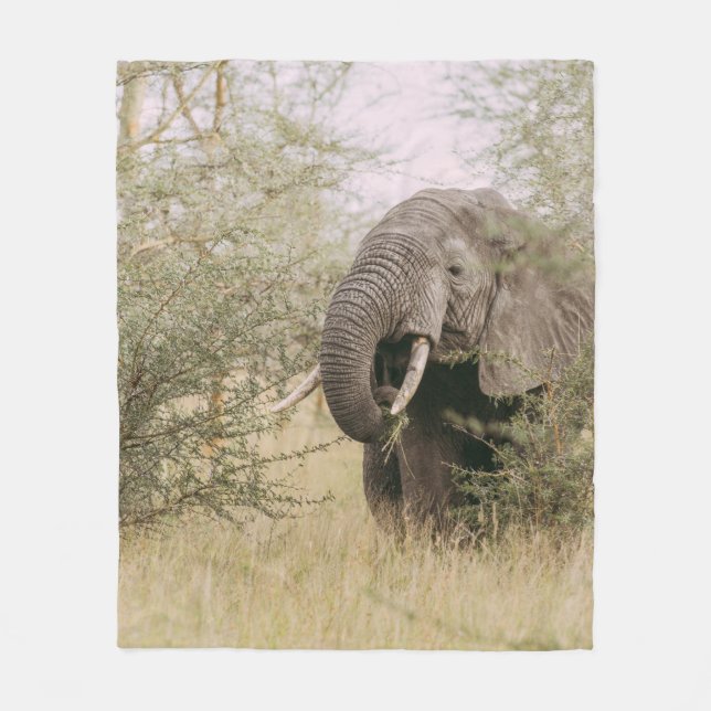 ELEPHANT EATING OFF A TREE FLEECE BLANKET (Front)