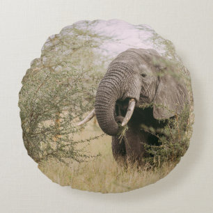 ELEPHANT EATING OFF A TREE ROUND CUSHION