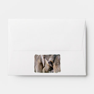ELEPHANT ENVELOPE