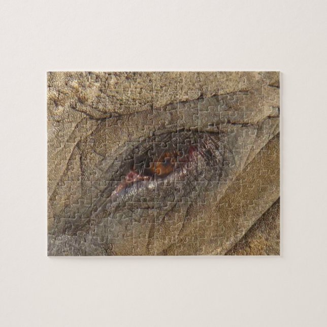 Elephant Eye Jigsaw Puzzle (Horizontal)