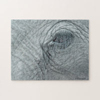 Elephant Eye