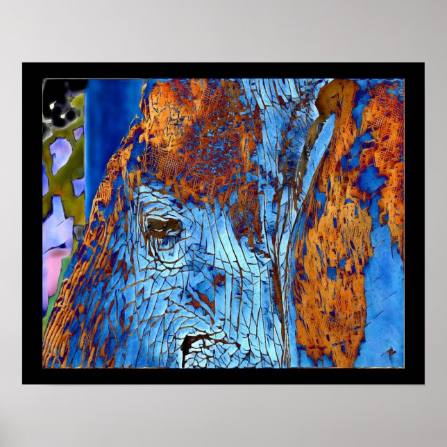 Elephant Eye Original Photo Digital Art Poster (Front)