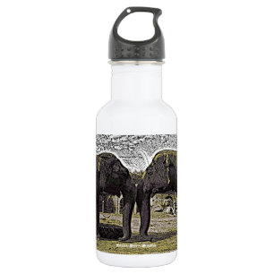 Elephant Eyes 532 Ml Water Bottle