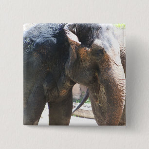 Elephant face 15 cm square badge