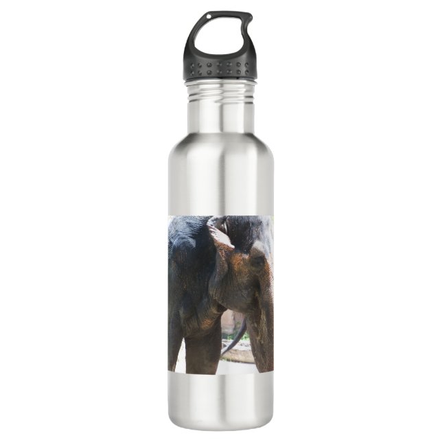 Elephant face 710 ml water bottle (Front)