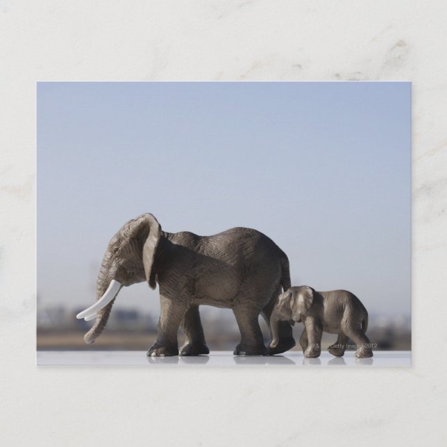 Elephant Family background blue sky Postcard (Front)