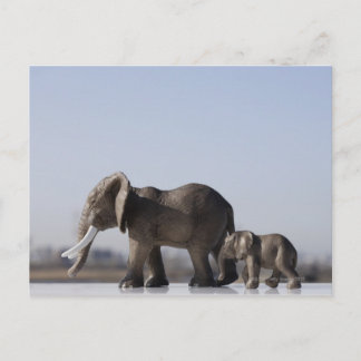 Elephant Family background blue sky Postcard