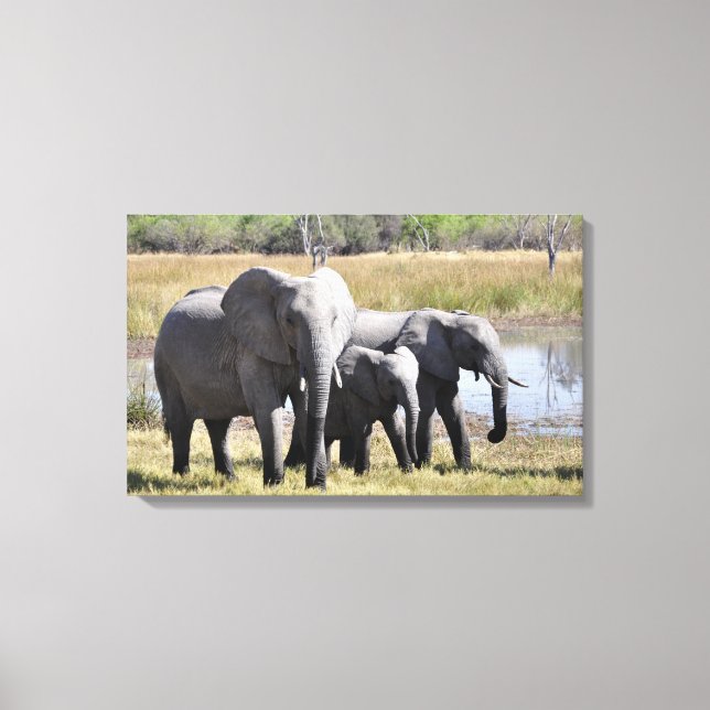 Elephant family canvas print (Front)