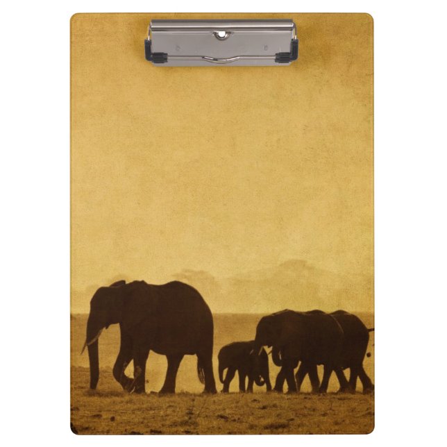 Elephant Family Clipboard (Front)