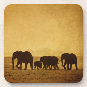 Elephant Family Coaster