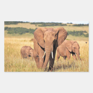 Elephant family in the bushes rectangular sticker