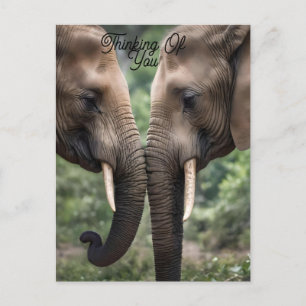 Elephant Family Is Love, Postcard