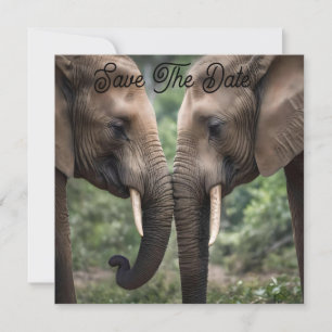 Elephant Family Is Love, Save The Date
