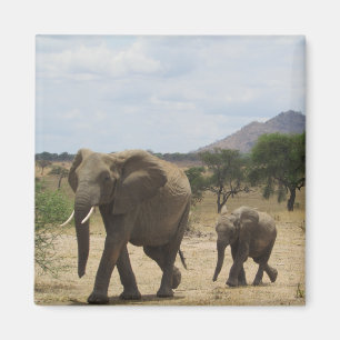 elephant family magnet