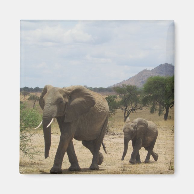 elephant family magnet (Front)