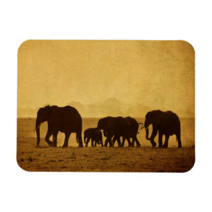 Elephant Family Magnet