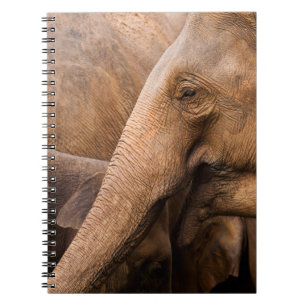 Elephant Family: Majestic Wildlife Notebook