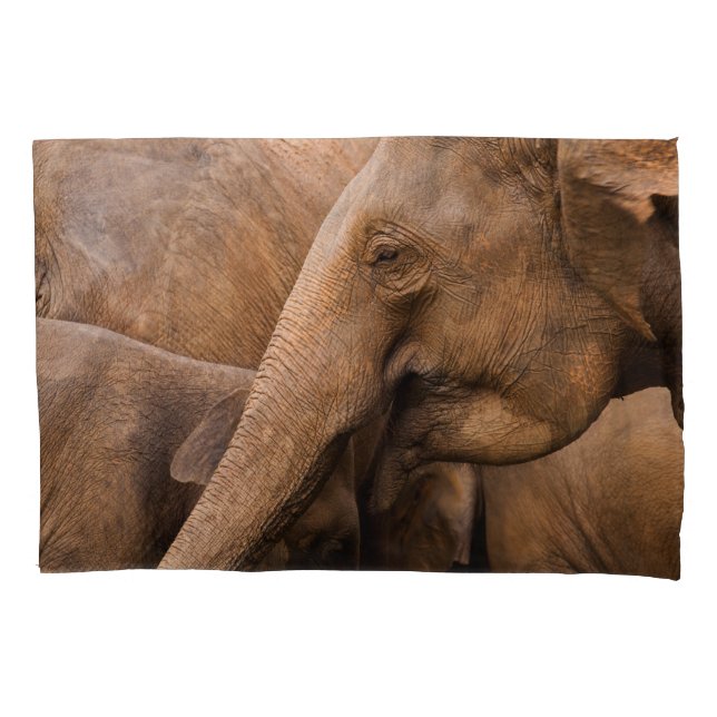 Elephant Family: Majestic Wildlife Pillowcase (Front)