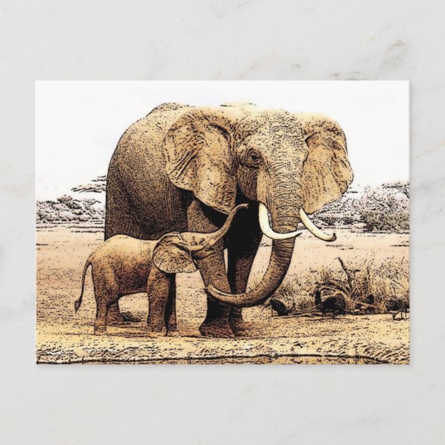 Elephant Family Postcard (Front)