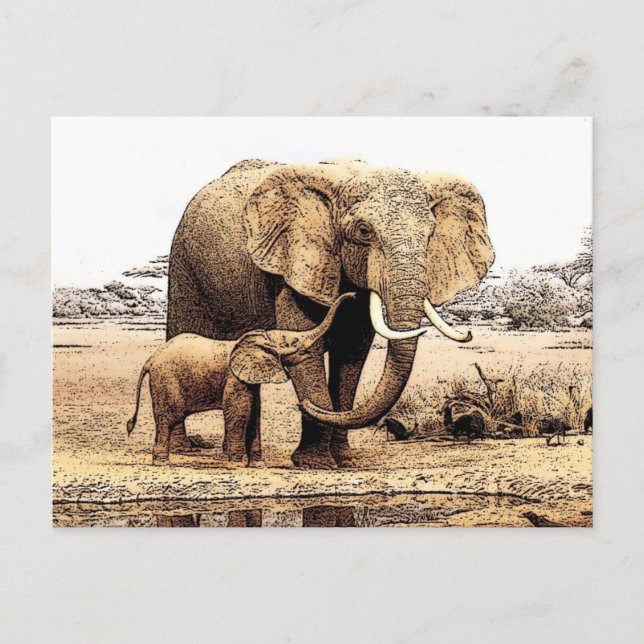 Elephant Family Postcard (Front)