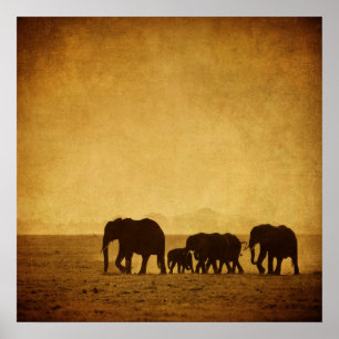 Elephant Family Poster