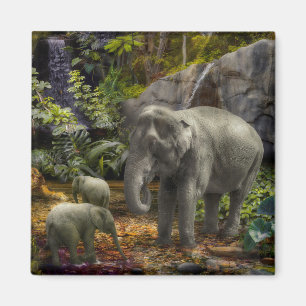 Elephant Family "RAIN FOREST PARTY" Magnet