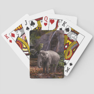 Elephant Family RAIN FOREST PARTY Playing Cards