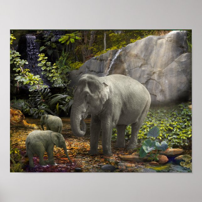 Elephant Family “RAIN FOREST PARTY" Poster (Front)