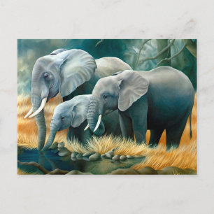 Elephant Family Safari Postcard