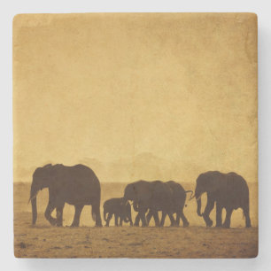 Elephant Family Stone Coaster