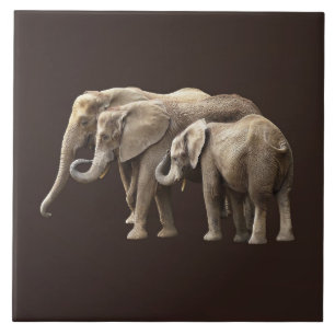Elephant Family Tile