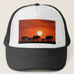 Elephant family trucker hat