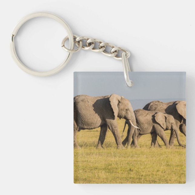 Elephant Family Walking Key Ring (Front)