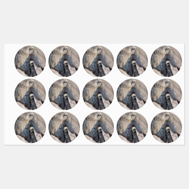 Elephant feeding (Sheet)