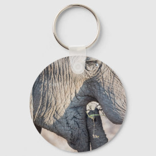 Elephant feeding key ring