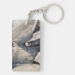 Elephant feeding key ring
