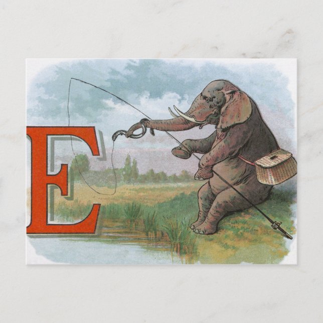Elephant fisherman fishing Illustration Postcard (Front)
