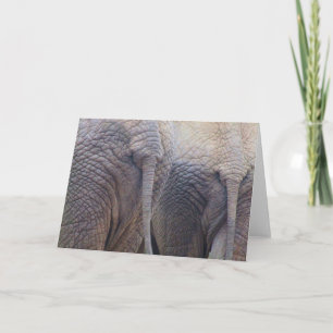 Elephant Greeting Card