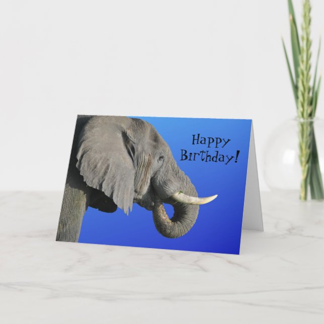 Elephant Happy Birthday Funny Age Blue and Gray Card (Front)
