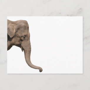 Elephant head postcard