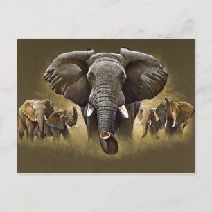 Elephant Herd Charging Postcard