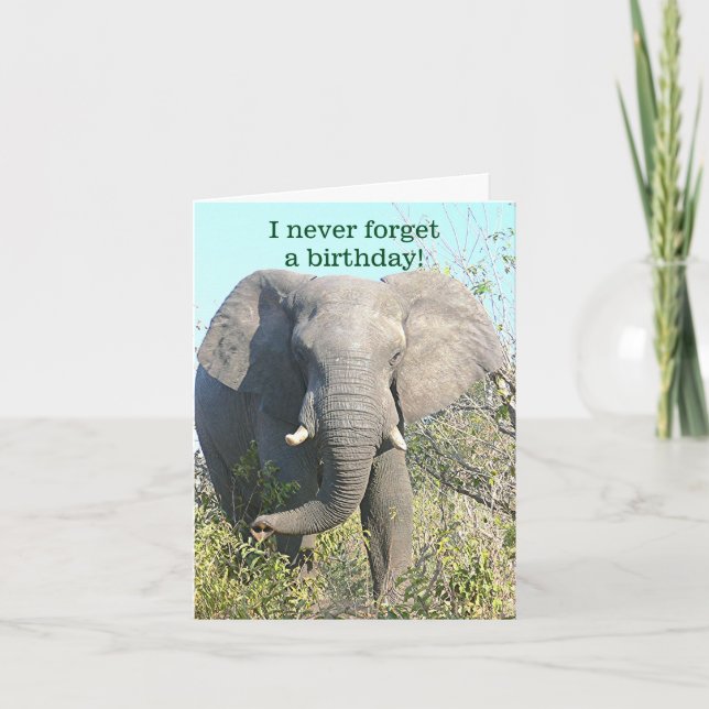 ELEPHANT/I NEVER FORGET A BIRTHDAY/EXCEPT YOURS CARD (Front)