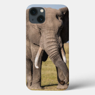 Elephant in an Aggressive Pose iPhone 13 Case