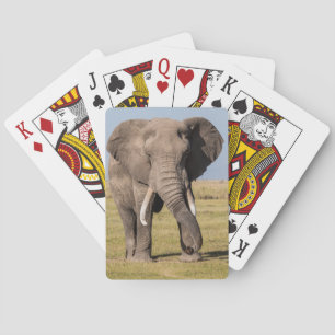 Elephant in an Aggressive Pose Playing Cards