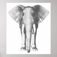 Elephant in Black and White