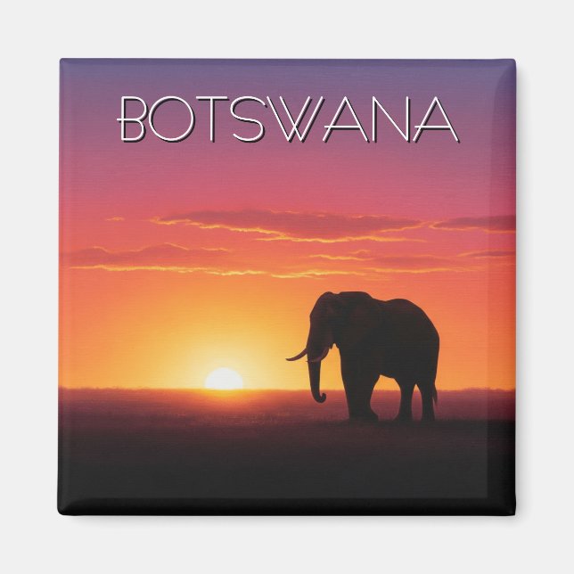 Elephant in Botswana sunset travel Magnet (Front)