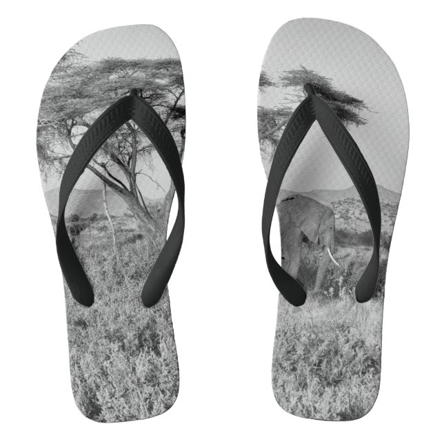 Elephant in Samburu Jandals (Footbed)
