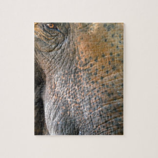 Elephant Jigsaw Puzzle