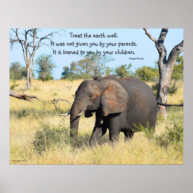 Elephant Kenya Proverb Poster (Front)