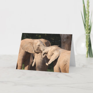 Elephant Love Greeting Card